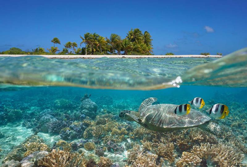 SPDMM 2025 (Valparaíso/Viña del Mar, Chile)