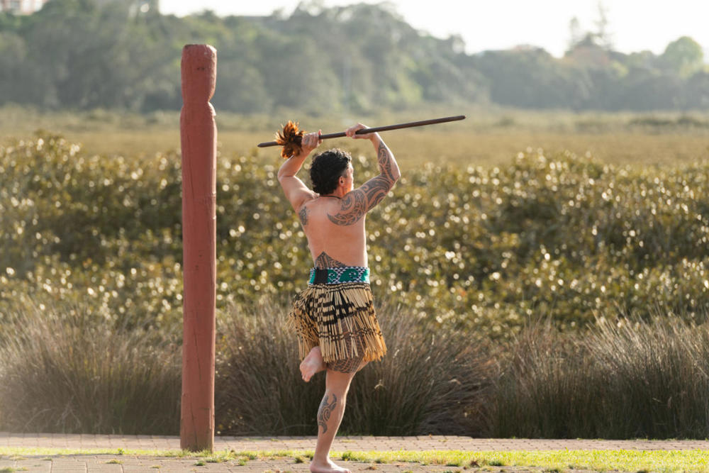 SPDMM 2024, New Zealand